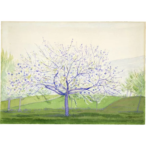 Albert Trachsel — Blühender Obstbaum