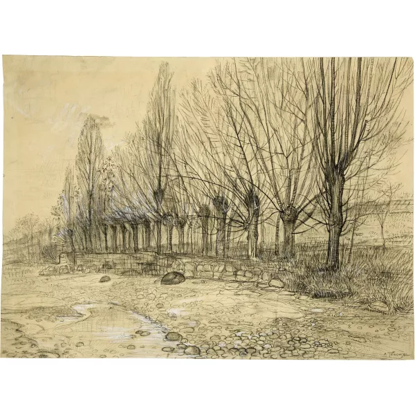Albert Trachsel — Weidenbäume am Flussufer