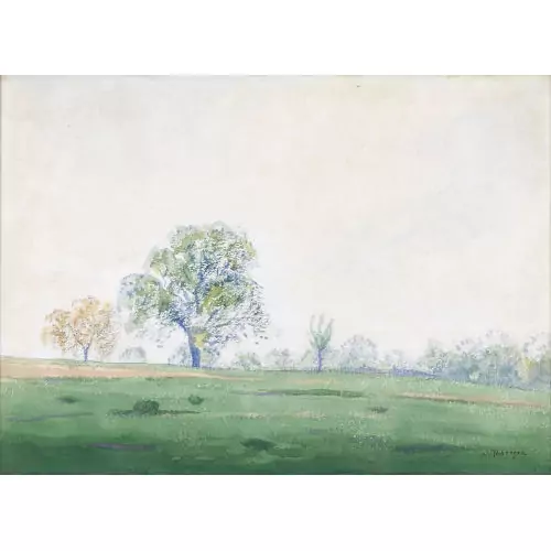 Sommerliche Wiesenlandschaft