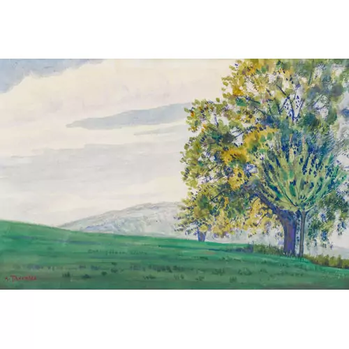Grüne Wiesenlandschaft mit Bäumen