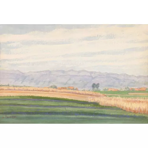 Weite Sommerlandschaft