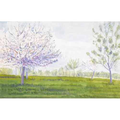 Blühender Obstbaum