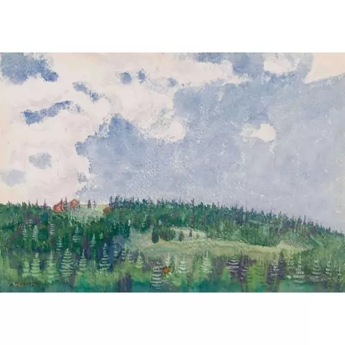 Waldlandschaft