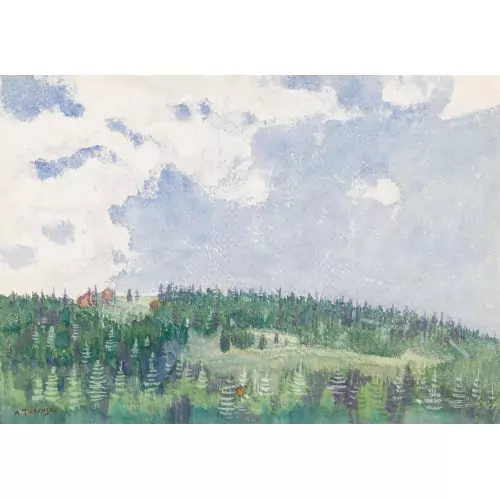 Waldlandschaft