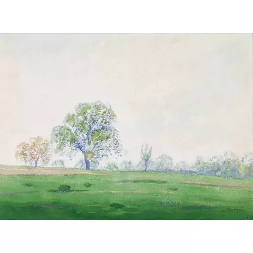 Sommerliche Wiesenlandschaft
