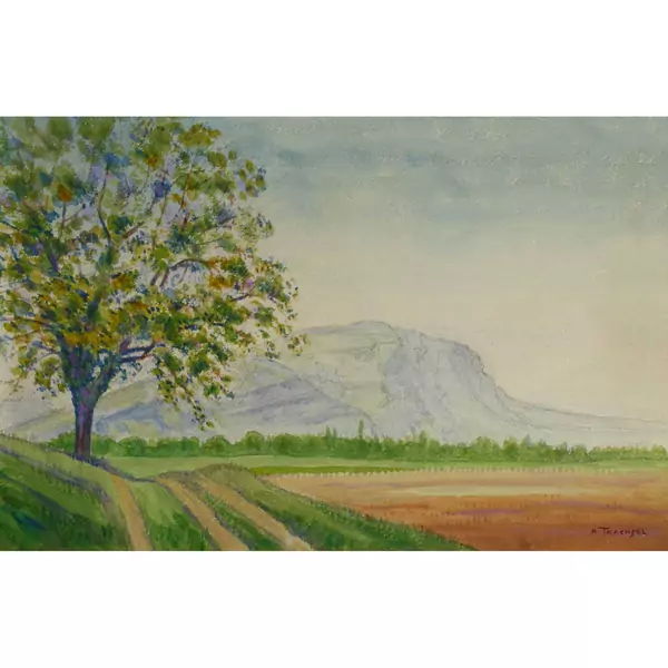 Ackerlandschaft mit Baum