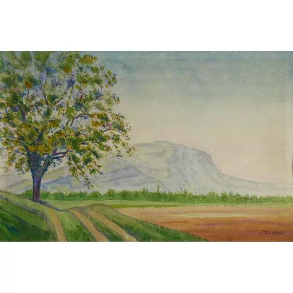 Ackerlandschaft mit Baum