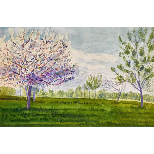 Printemps - le Salève