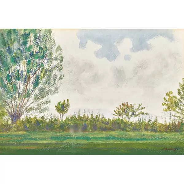 Wiesenlandschaft mit Bäumen