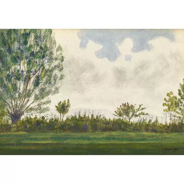 Wiesenlandschaft mit Bäumen