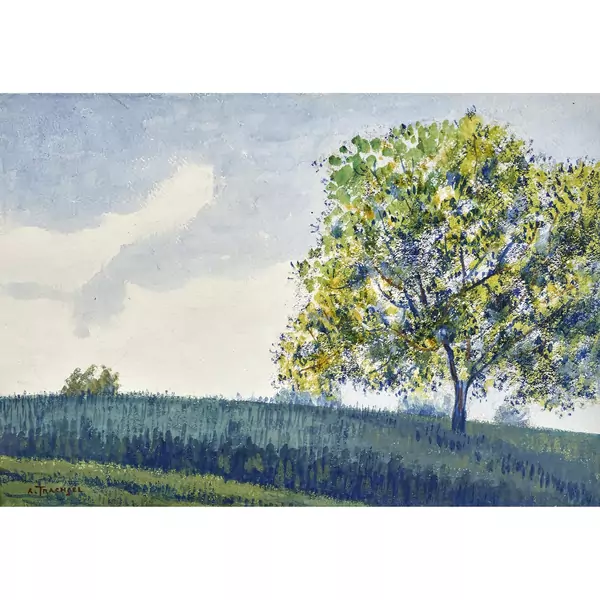 Feldlandschaft mit Bäumen