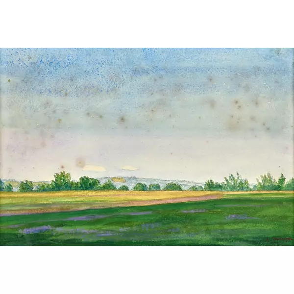 Weite Wiesen- und Feldlandschaft