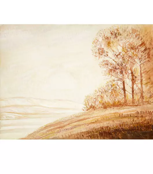 Albert Trachsel — Braune Landschaft, am Waldrand — Galerie Kornfeld