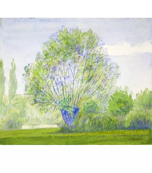 Albert Trachsel — Weidenbaum im Sommer — Galerie Kornfeld