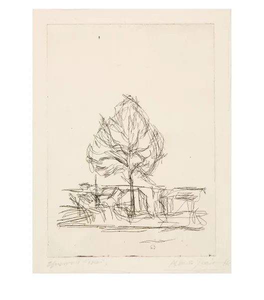 Alberto Giacometti — L’Arbre IV