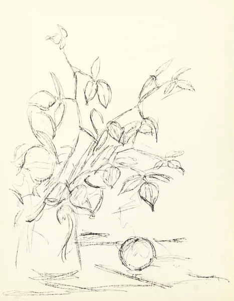 Alberto Giacometti — Buch. Pomme endormie, 1961