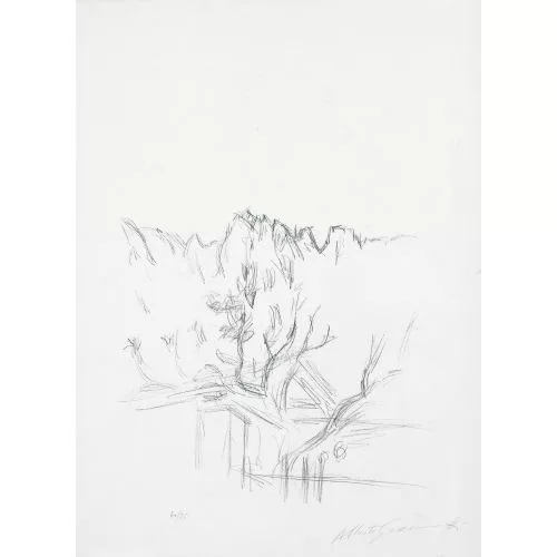 Alberto Giacometti — Landscape with trees.
