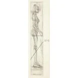 Nude en Profile