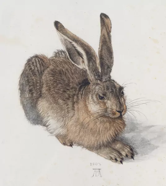 Albrecht Dürer (1471-1528), "Le lièvre" — DognyAuction