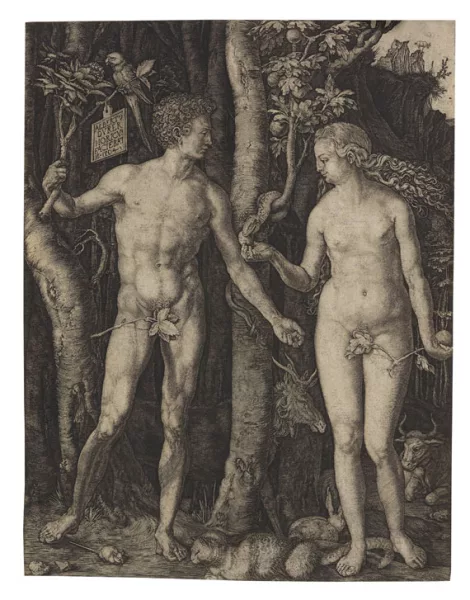 Albrecht Dürer — Adam und Eva