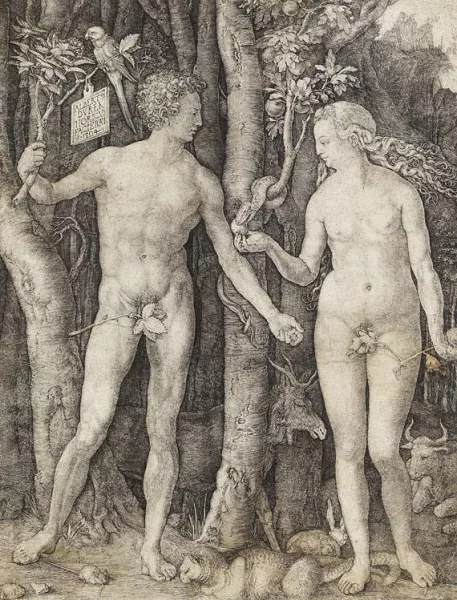 Albrecht Dürer — Adam und Eva
