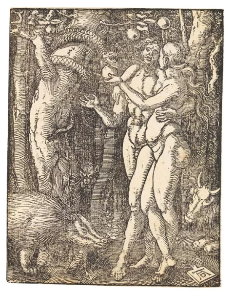 Albrecht Dürer — Der Sündenfall