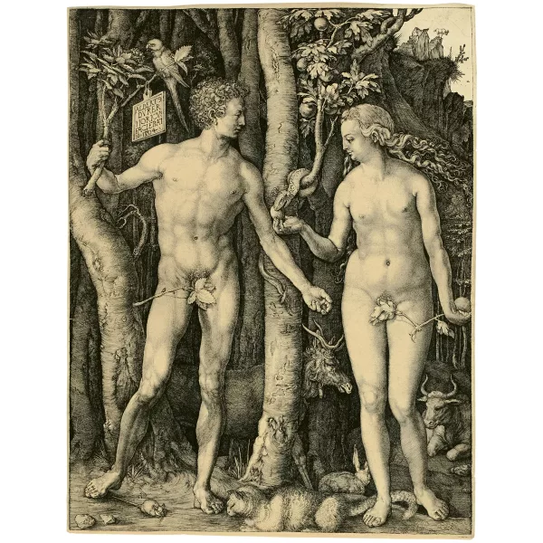 Albrecht Dürer — Adam und Eva