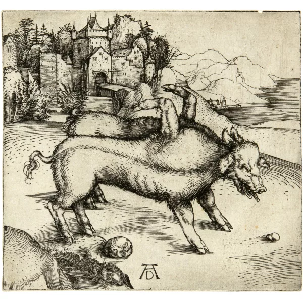Albrecht Dürer — Die Missgeburt eines Schweines (Die wunderbare Sau von Landser)