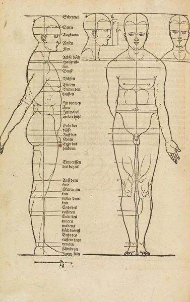 Albrecht Dürer — Opera