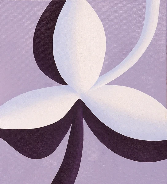 Albrecht Schnider — Blume, 1995