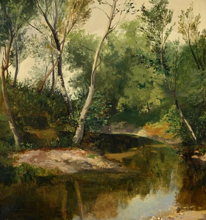 Arbres et plan d'eau