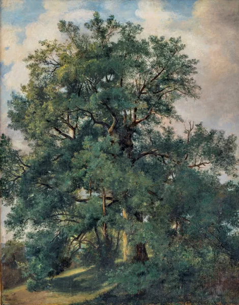 Alexandre Calame — Arbre,
