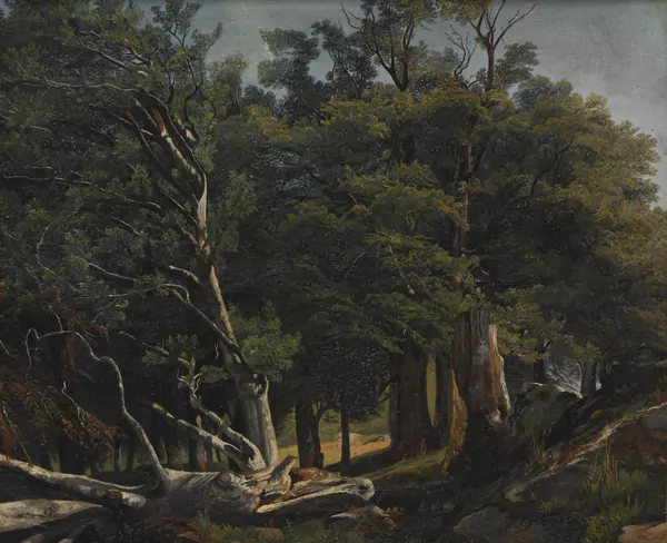 Alexandre CALAME (1810-1864), (attribué à), "Arbres", Huile — DognyAuction