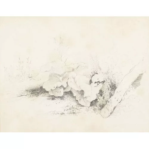 Alexandre Calame — Umkreis