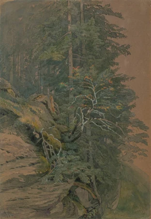 Rocher et sapins, 1854