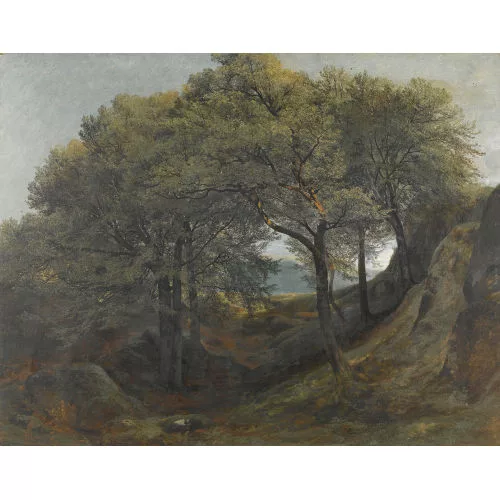 Alexandre Calame — Umkreis
