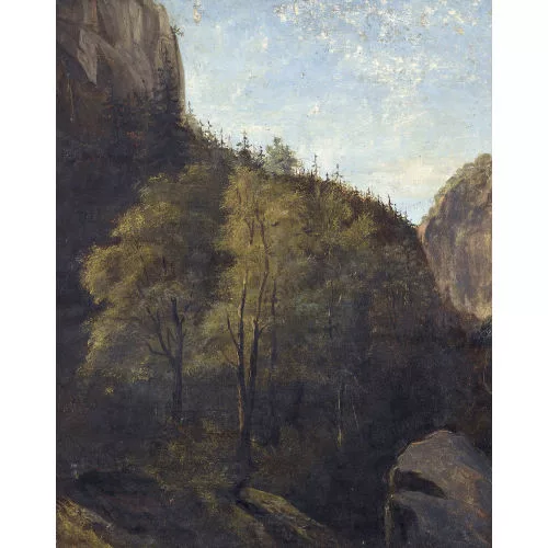 Alexandre Calame — Bois et falaises.
