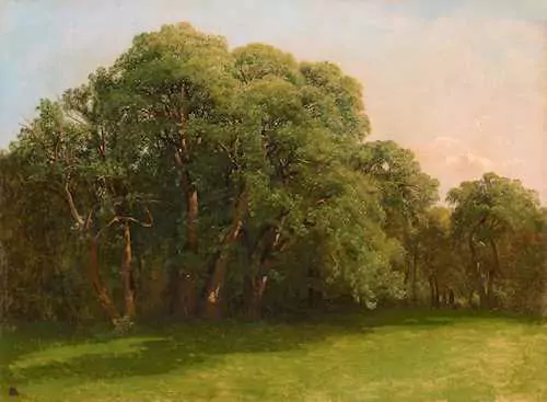 ALEXANDRE CALAME — Vue d'un sous-bois depuis une prairie. — Koller Auktionen