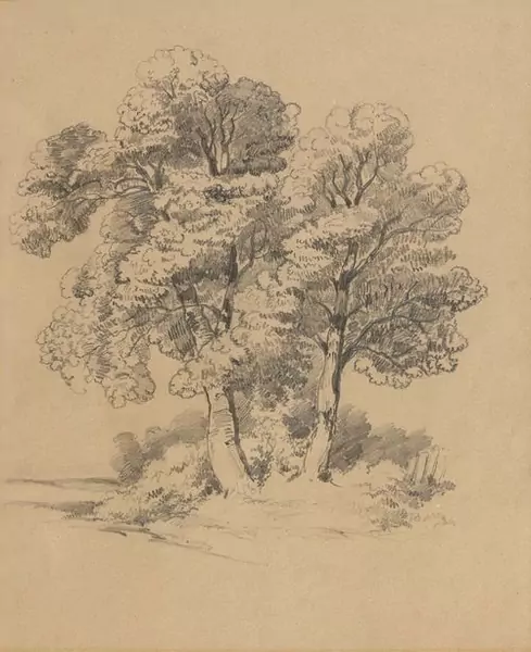ALEXANDRE CALAME — Baumstudie. — Koller Auktionen