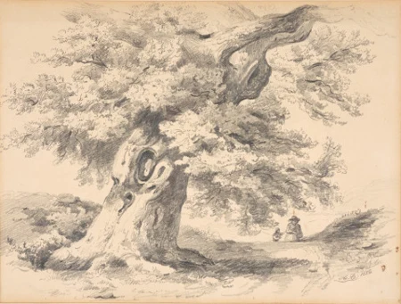Baumgruppe, 1856