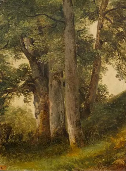 ALEXANDRE CALAME — A tree study. — Koller Auktionen