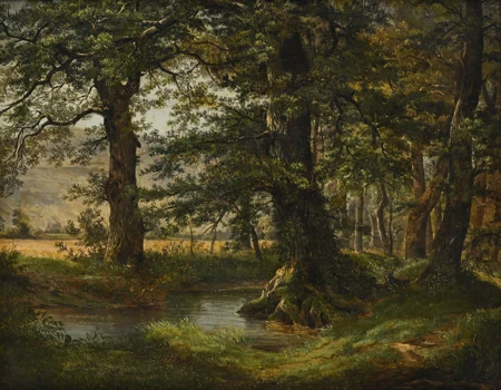 Chênes en bordure d'un petit ruisseau
