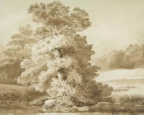 ALEXANDRE CALAME — Baumstudie. — Koller Auktionen
