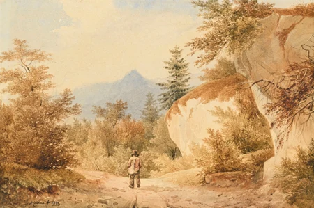Paysage animé