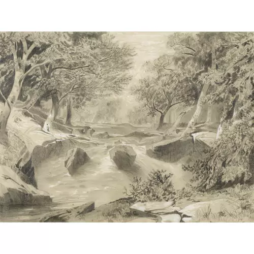 Torrent avec rochers et arbres