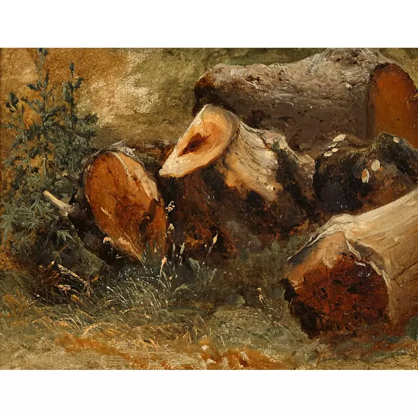 Souches d′arbres (étude)