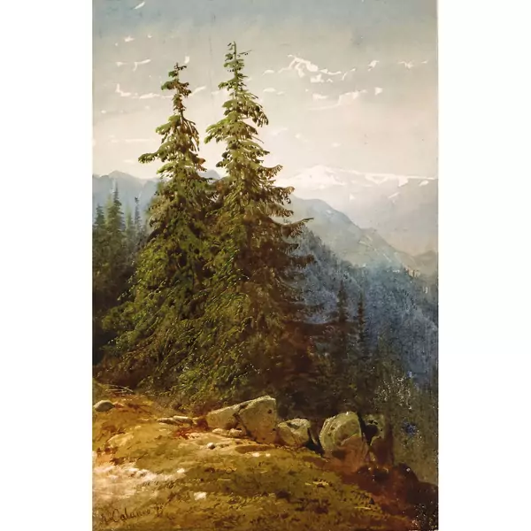 Waldstück mit Felsbrocken