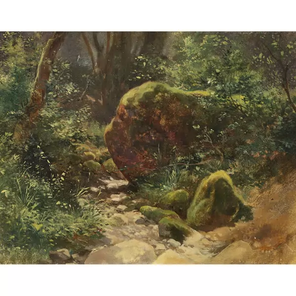 Rochers dans un bois