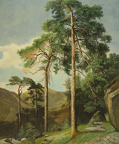 Alexandre Calame — Dezember 2016 (A143) - Auktionsstart: 16.12.2016, 11:15 — Schuler Auktionen