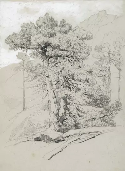 Alexandre Calame — Dezember 2021 (A163) - Auktionsstart: 17.12.2021, 10:30 — Schuler Auktionen